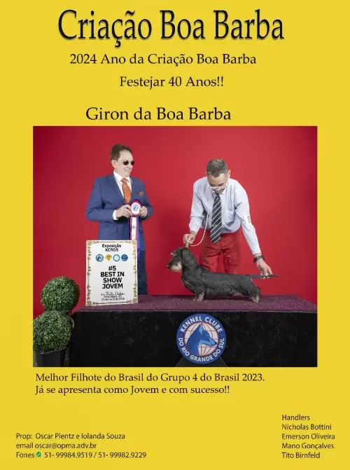 Criação Boa Barba