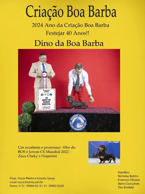 Criação Boa Barba