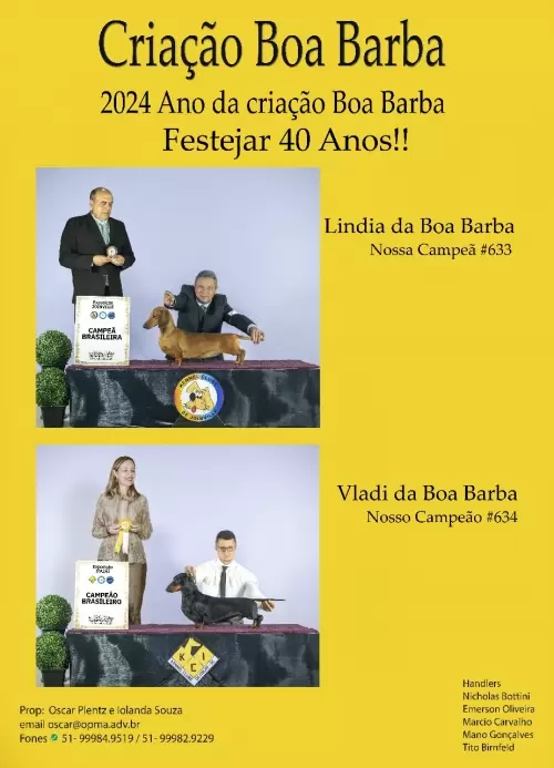 Criação Boa Barba
