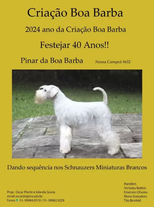 Criação Boa Barba