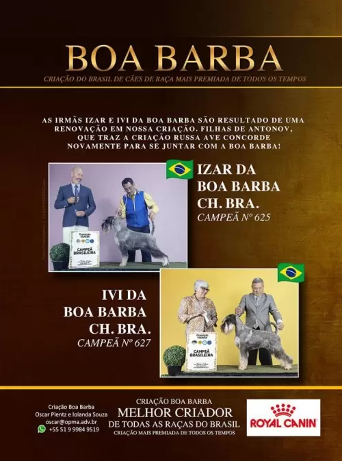 Criação Boa Barba