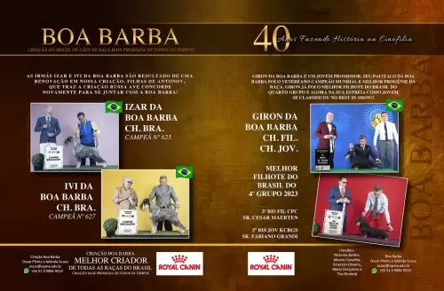 Criação Boa Barba