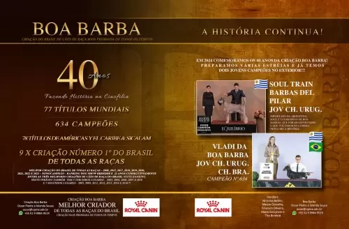 Criação Boa Barba