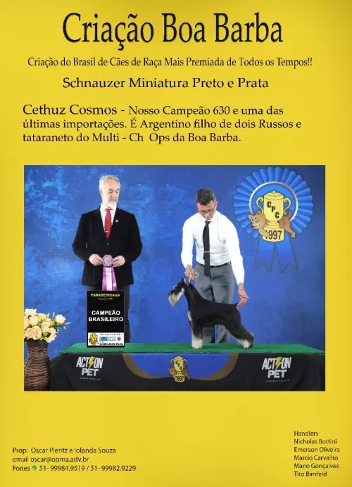 Campeões Boa Barba