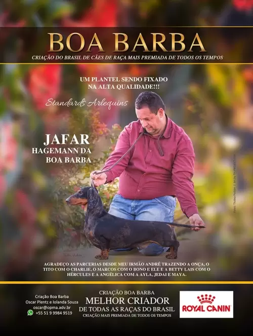Campeões Boa Barba