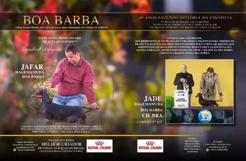 Campeões Boa Barba