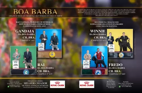 Campeões Boa Barba
