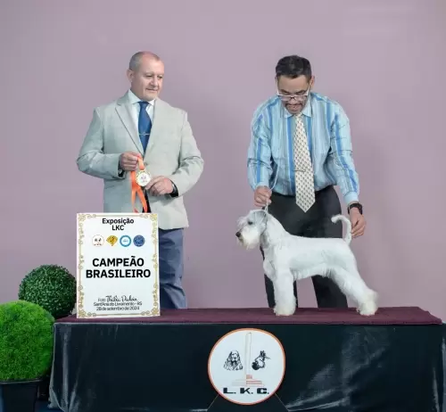 Oleg da Boa Barba - nosso novo Campeão e de n* 644!!