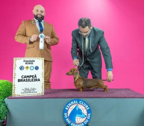 Quiki da Boa Barba - nossa Campeã(o) n* 646!!